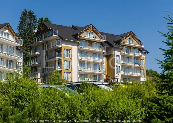 Czarna Gora Liv 公寓 *